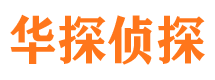 桐柏寻人公司